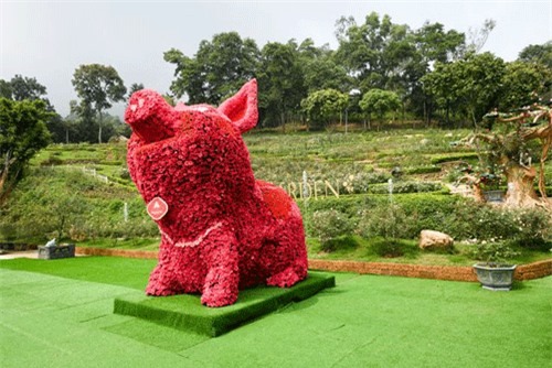 Trao kỷ lục Việt Nam cho khu du lịch vườn hồng tại Ba Vì