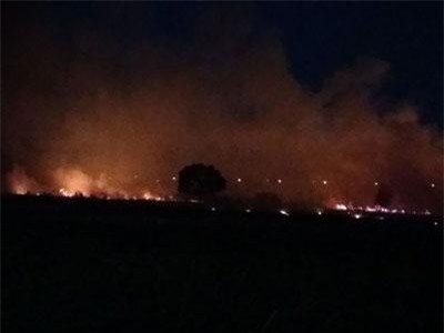 Đồng Nai: Bãi cỏ khô cháy suốt nhiều giờ, 20 hộ dân di dời tài sản