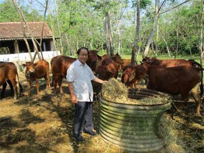 Quảng Nam: U70 và hành trình 30 năm gây dựng trang trại bạc tỷ