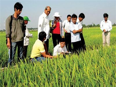 Góp sức khẳng định thương hiệu nông sản Việt