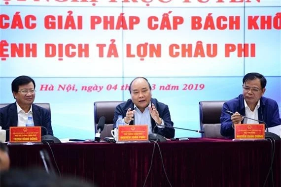 Thủ tướng Nguyễn Xuân Phúc chỉ đạo chống dịch tả lợn Châu Phi tại hội nghị trực tuyến