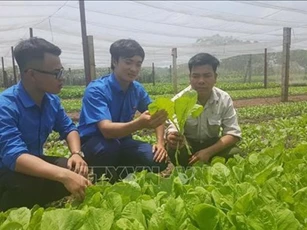 Cắt giảm 122 thủ tục hành chính trong lĩnh vực nông nghiệp