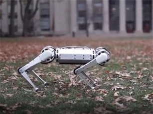 CLIP: Robot 4 chân trổ tài bật nhảy lộn ngược