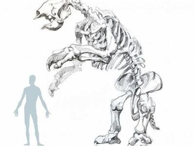Hóa thạch con lười khổng lồ tiết lộ hoàn cảnh sống trước khi tuyệt chủng