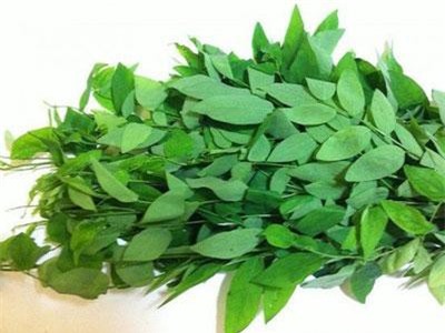 Công dụng tuyệt vời của rau ngót