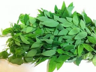 Công dụng tuyệt vời của rau ngót