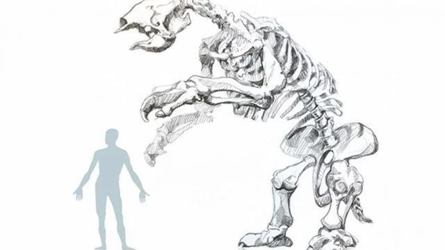 Hóa thạch con lười khổng lồ tiết lộ hoàn cảnh sống trước khi tuyệt chủng - 1