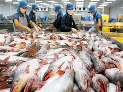 Đẩy mạnh xuất khẩu cá tra sang thị trường Châu Âu