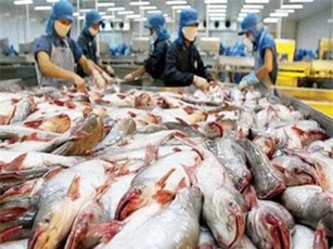Đẩy mạnh xuất khẩu cá tra sang thị trường Châu Âu