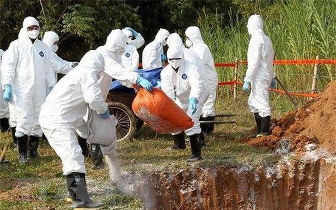 Hà Nội hỗ trợ tiền ngay cho người dân khi tiêu hủy lợn bệnh