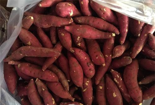 TP.HCM hỗ trợ tiêu thụ nông sản