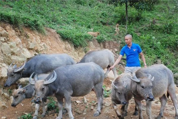 lam giau khac nguoi: 9x bo luong cao ve que lam...muc dong hinh anh 1