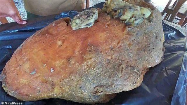 Nhặt được miếng xốp lạ về vứt góc vườn: Bất ngờ được trả giá gần 12 tỷ đồng