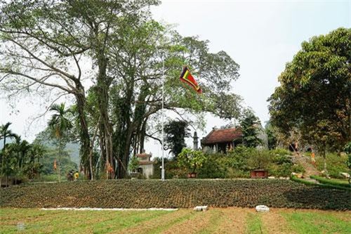 Bí ẩn xung quanh cụ đa nghìn năm "biết đi" quanh đền cổ ở Ninh Bình