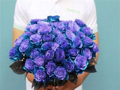 Hoa mao lương, thược dược 'khổng lồ', hàng 'cực hiếm' trong dịp 8/3