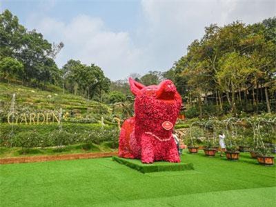 CLIP: Chiêm ngưỡng vườn hồng lớn nhất Việt Nam khiến ai nấy đều mê mẩn