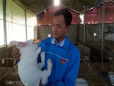 Lạng Sơn: 8X xứ Lạng thu gần 200 triệu/năm từ những 'cục bông' ăn cỏ, lá