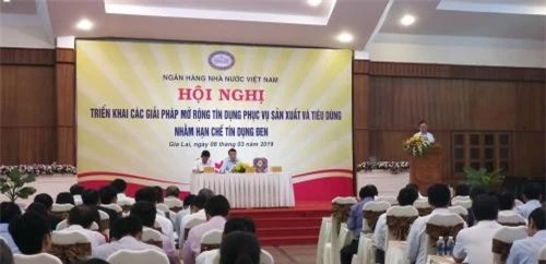 Toàn cảnh hội nghị. (Ảnh: TBNH)