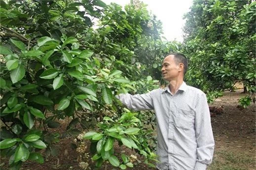 ru nhau bo pho len nui nuoi ga, trong buoi, xay nha lau, sam o to hinh anh 3