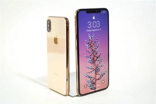 iPhone Xs và iPhone Xs Max (phải).