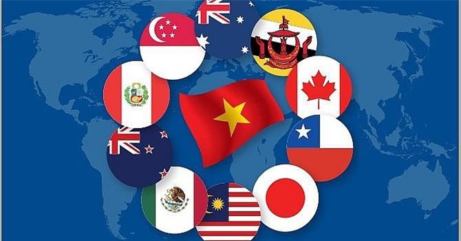 Thực thi CPTPP và các vấn đề liên quan đến hải quan đối với Việt Nam
