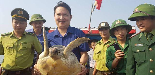 Hà Tĩnh: Ngư dân giao nộp rùa quý để thả về biển