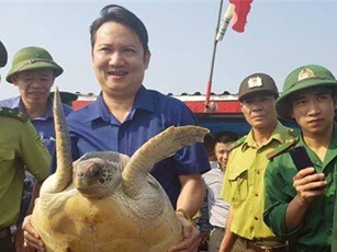 Hà Tĩnh: Ngư dân giao nộp rùa quý để thả về biển