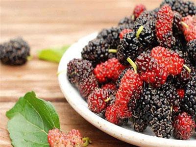 Công dụng tuyệt vời của dâu tằm