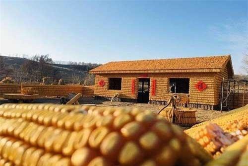 Độc lạ tòa nhà lộng lẫy xây từ 20.000 bắp ngô