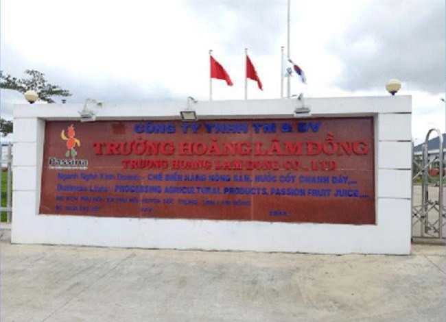 Xả thải bẩn, Công ty Trường Hoàng Lâm Đồng bị phạt 300 triệu đồng