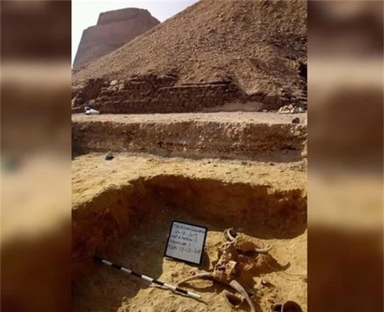 Thiếu nữ bí ẩn nằm bên đôi bò mộng trong mộ cổ Ai Cập - Ảnh 2.