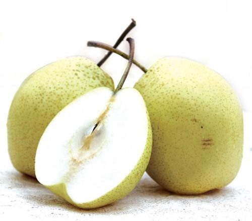 Ph&#xF2;ng ch&#x1EEF;a b&#x1EC7;nh h&#xF4; h&#x1EA5;p nh&#x1EDD; qu&#x1EA3; l&#xEA;