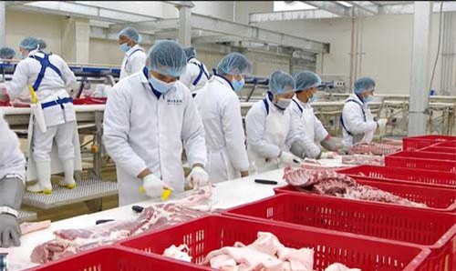 Thịt lợn sạch tại siêu thị vẫn giữ giá cao