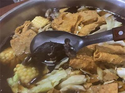 Thực khách hốt hoảng thấy xác chuột nằm chết cứng trong nồi lẩu