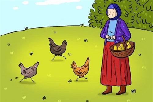 Bài toán gà và trứng khiến 99% người trả lời sai