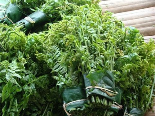 Rau dớn, bò khai, tầm bóp giá "đắt cắt cổ" đang "cháy hàng" ở Thủ đô