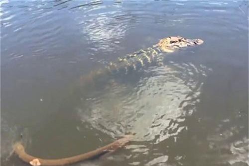 Cấm xe máy 2 tuyến đường ở Hà Nội: Liệu có thể trông chờ vào xe buýt?