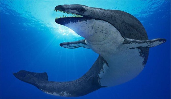 Quái vật tiền sử "thằn lằn chúa" chuyên săn cá voi