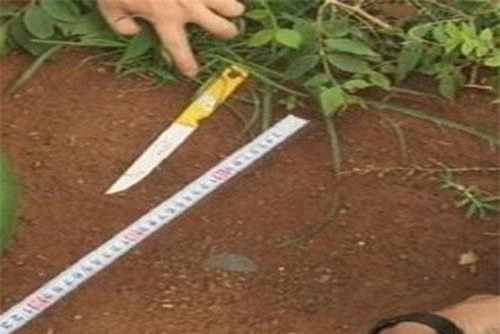 Hai nghi can sát hại chủ nhà trọ ra đầu thú