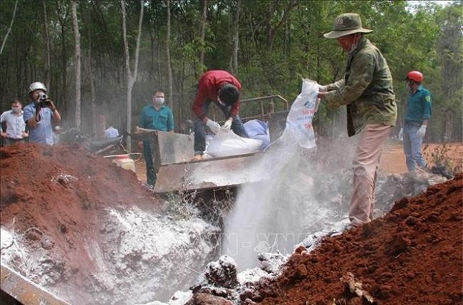 Đắk Lắk: Lở mồm long móng lan rộng, 2 huyện phải công bố dịch