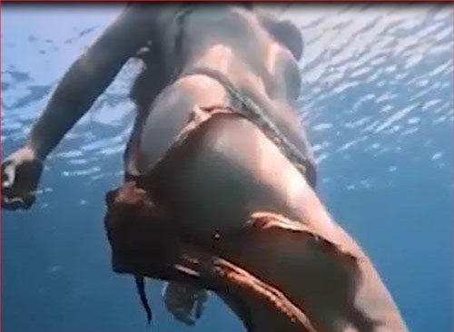 CLIP: Cô gái bơi dưới biển bị bạch tuộc "sàm sỡ"