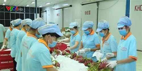 Trái cây lên giá vì Trung Quốc tăng mua