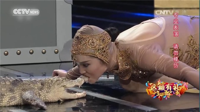 CLIP: Toát mồ hôi xem cô gái xinh đẹp hôn cá sấu