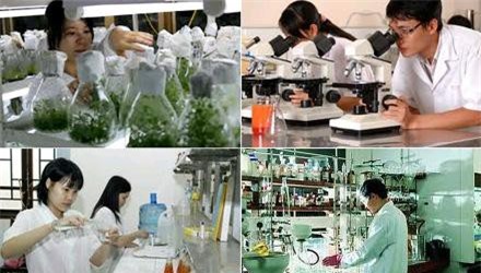 386 doanh nghiệp được cấp Giấy Chứng nhận Doanh nghiệp Khoa học và Công nghệ