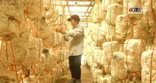 Lào Cai tích cực hỗ trợ phụ nữ khởi nghiệp