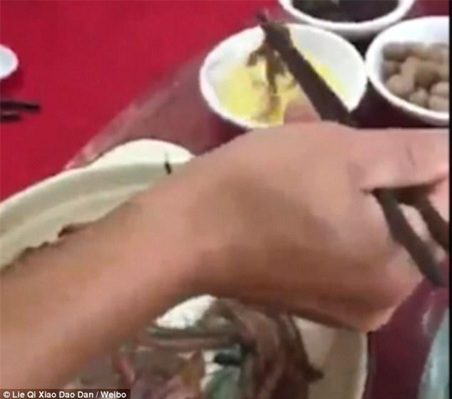 CLIP: Kinh dị người đàn ông ăn đỉa sống ngon lành