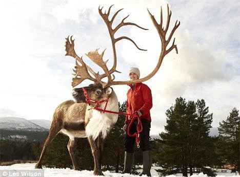 5 loài động vật có cặp sừng đáng sợ nhất