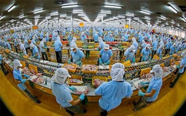 CPTPP: Tăng cường khuyến khích, định hướng doanh nghiệp FDI kết nối với doanh nghiệp nội