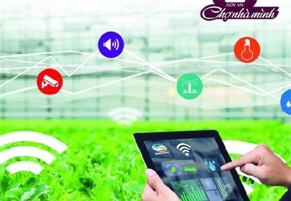 Lưu ý với doanh nghiệp tham gia chợ thương mại điện tử sản phẩm nông nghiệp an toàn