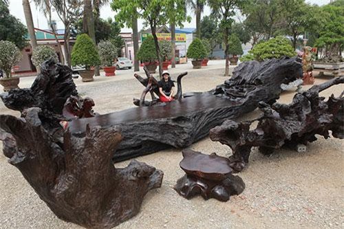 Choáng ngợp bộ bàn ghế bằng gỗ lũa “khủng” nhất Việt Nam